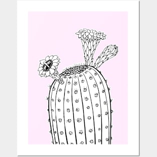 Saguaro Bloom Posters and Art